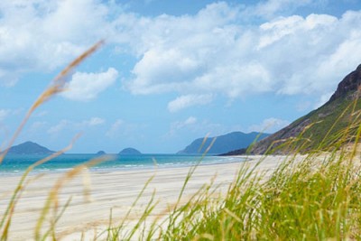 Tết trên Côn Đảo Tết trên Côn Đảo