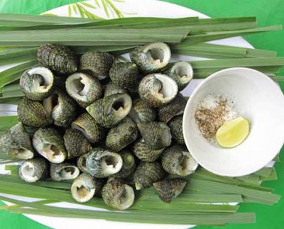 Ốc ngọt Côn Đảo Ốc ngọt Côn Đảo