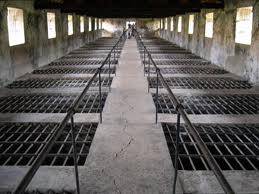 Biệt Giam Chuồng Cọp - Côn Đảo