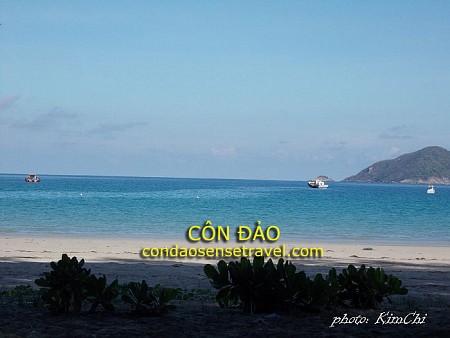 Chương Trình 4 Đêm 3 Ngày: Sài Gòn - Côn Đảo Huyền Thoại (Tàu Cao Tốc)