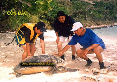 Chương Trình 4 Đêm 3 Ngày: Sài Gòn - Côn Đảo Huyền Thoại (Tàu Cao Tốc)