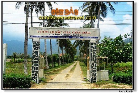 Chương Trình 4 Đêm 3 Ngày: Sài Gòn - Côn Đảo Huyền Thoại (Tàu Cao Tốc)