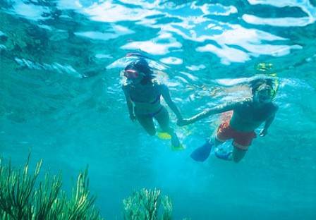 Chương Trình Khuyến Mãi Đặc Biệt Tháng 11: 2 ngày 1 đêm Thứ 2, 3, 4 hàng tuần