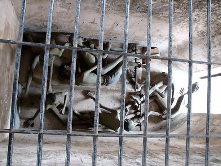 Chương Trình Trong Ngày: Câu Cá Ngoài Đảo Hoang