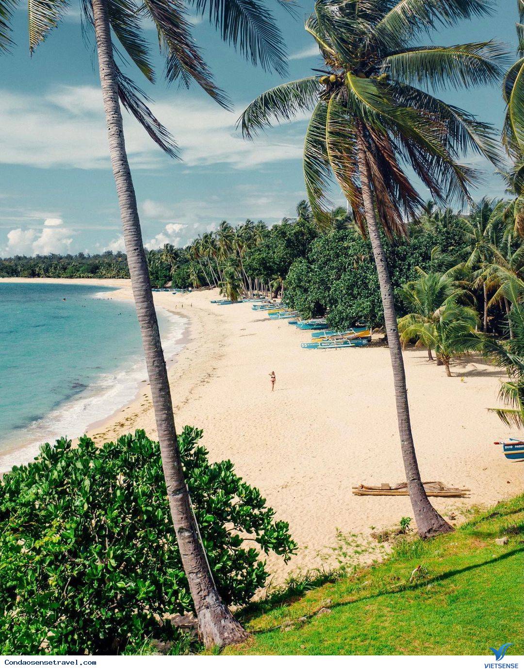 Bãi Đầm Trầu - Ảnh 3 Bãi Đầm Trầu - Ảnh 3