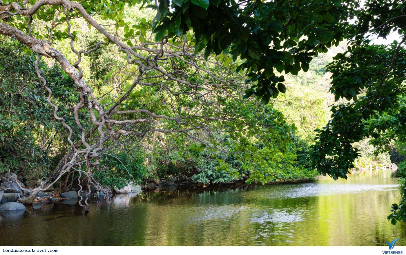 Các địa điểm nghỉ dưỡng ở Côn Đảo vào mùa xuân - Ảnh 1 Các địa điểm nghỉ dưỡng ở Côn Đảo vào mùa xuân - Ảnh 1