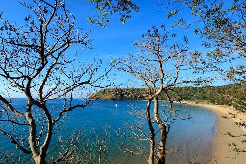 Cảm xúc tết trên Côn Đảo - Ảnh 1