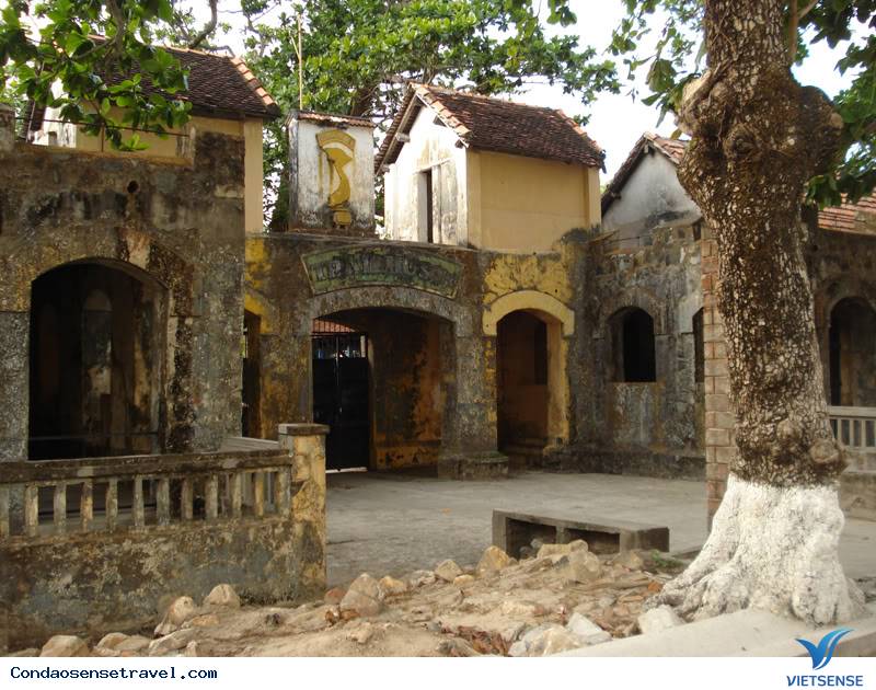 Côn Đảo Một Tình Yêu - Ảnh 1