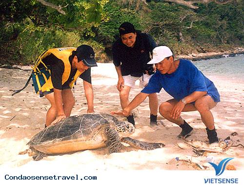 Côn Đảo - Thiên Đường Nghỉ Dưỡng - Ảnh 3 Côn Đảo - Thiên Đường Nghỉ Dưỡng - Ảnh 3