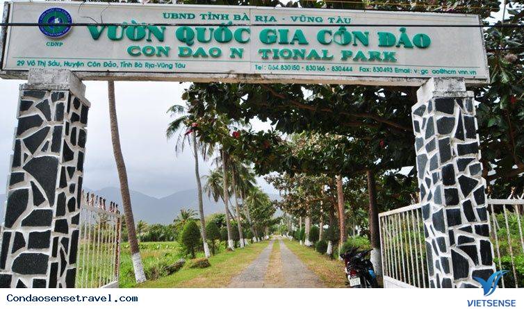 Công Nhận Vườn Quốc Gia Côn Đảo Là Khu Ramsar - Ảnh 1 Công Nhận Vườn Quốc Gia Côn Đảo Là Khu Ramsar - Ảnh 1