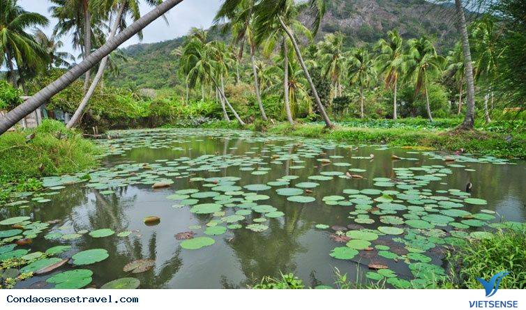 Công Nhận Vườn Quốc Gia Côn Đảo Là Khu Ramsar - Ảnh 2 Công Nhận Vườn Quốc Gia Côn Đảo Là Khu Ramsar - Ảnh 2