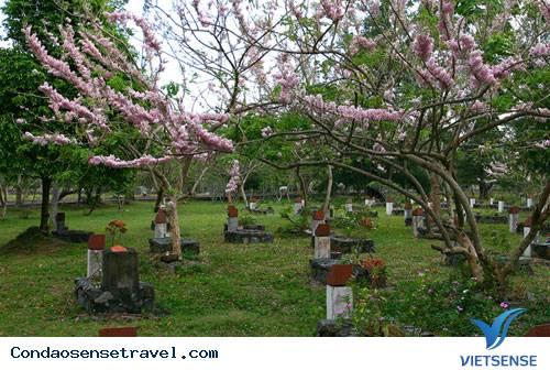 Dấu ấn Côn Đảo - Ảnh 2 Dấu ấn Côn Đảo - Ảnh 2