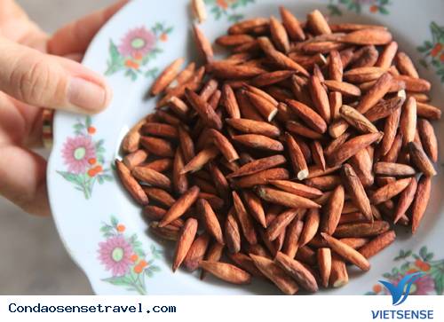 Đến Côn Đảo Thưởng Thức Đặc Sản Hạt Bàng - Ảnh 2 Đến Côn Đảo Thưởng Thức Đặc Sản Hạt Bàng - Ảnh 2