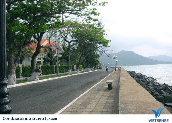 Đón Tết Ất Mùi Ở Côn Đảo - Ảnh 1 Đón Tết Ất Mùi Ở Côn Đảo - Ảnh 1