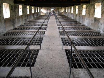 Du lịch côn đảo khám phá chuồng cọp