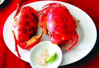 Du lịch côn đảo món cua mặt trăng Du lịch côn đảo thưởng thức cua mặt trăng