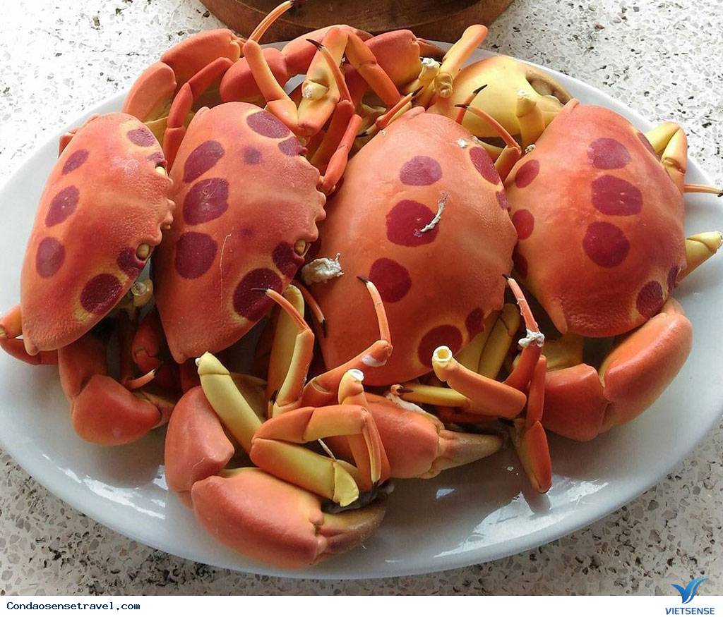 Thưởng Thức Cua Mặt Trăng - Ảnh 2 Thưởng Thức Cua Mặt Trăng - Ảnh 2