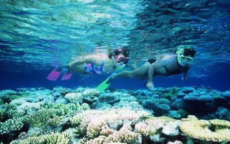 Tour du lich ngắm san hô ở côn đảo du lịch côn đảo