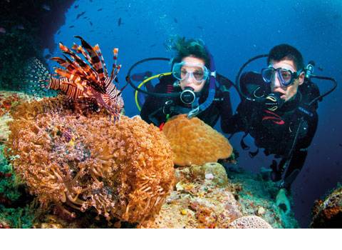 Những Trải Nghiệm Thú Vị khi đến Côn Đảo - Ảnh 2