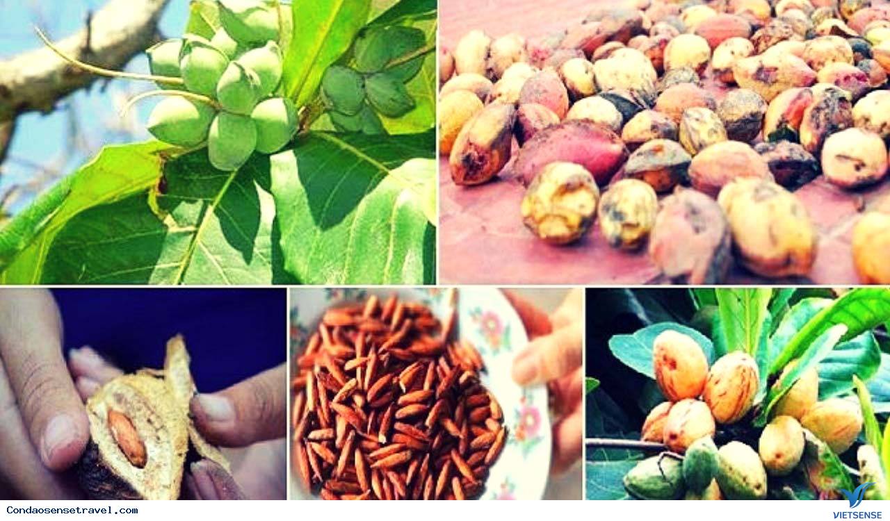 Thứ 1, lịch sử hình thành