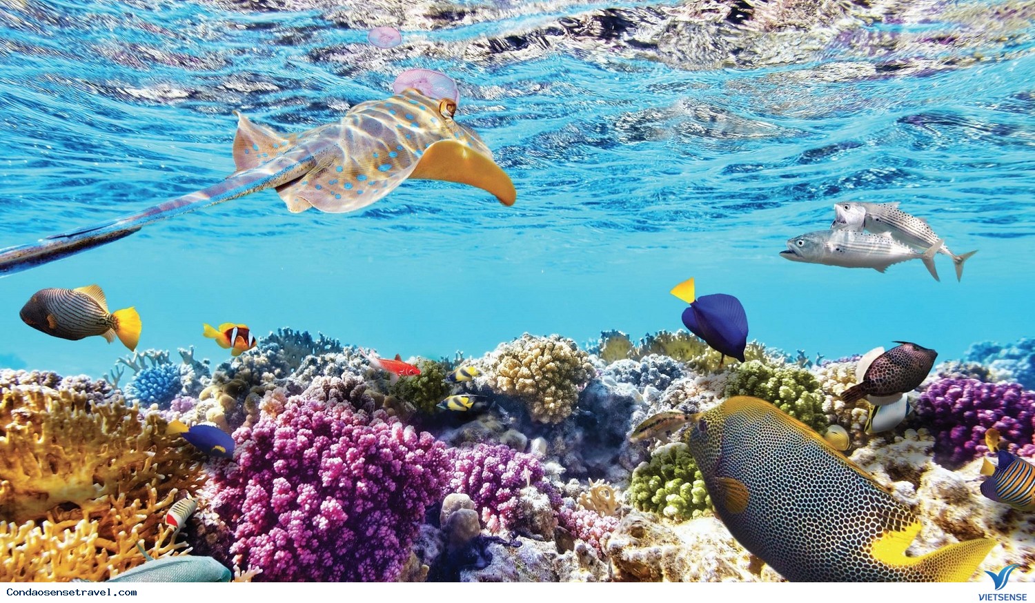 Hòn Bảy Cạnh - Ảnh 2 Hòn Bảy Cạnh - Ảnh 2