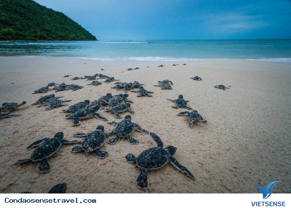 Hòn Bảy Cạnh - Ảnh 3 Hòn Bảy Cạnh - Ảnh 3