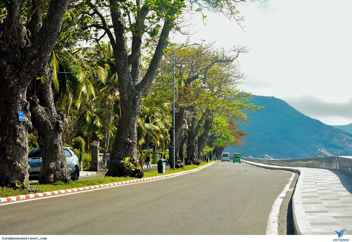 Khám phá thiên nhiên Côn Đảo - Ảnh 11 Khám phá thiên nhiên Côn Đảo - Ảnh 11