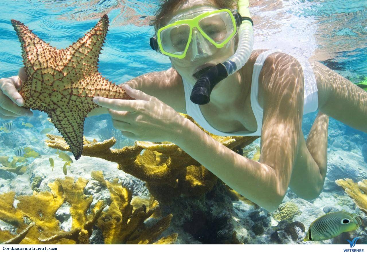 Lặn ngắm rặng san hô đẹp nhất Việt Nam Lặn ngắm rặng san hô đẹp nhất Việt Nam