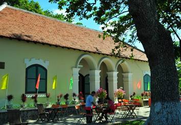 Một Ngày Bình Yên Ở Côn Đảo - Ảnh 2