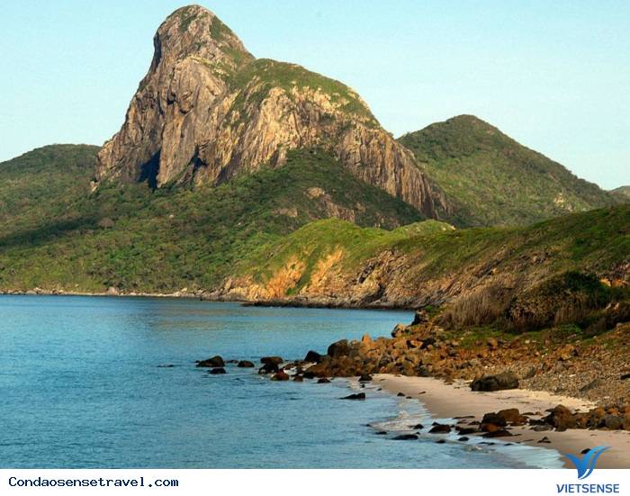 Mũi Cá Mập Mũi Cá Mập