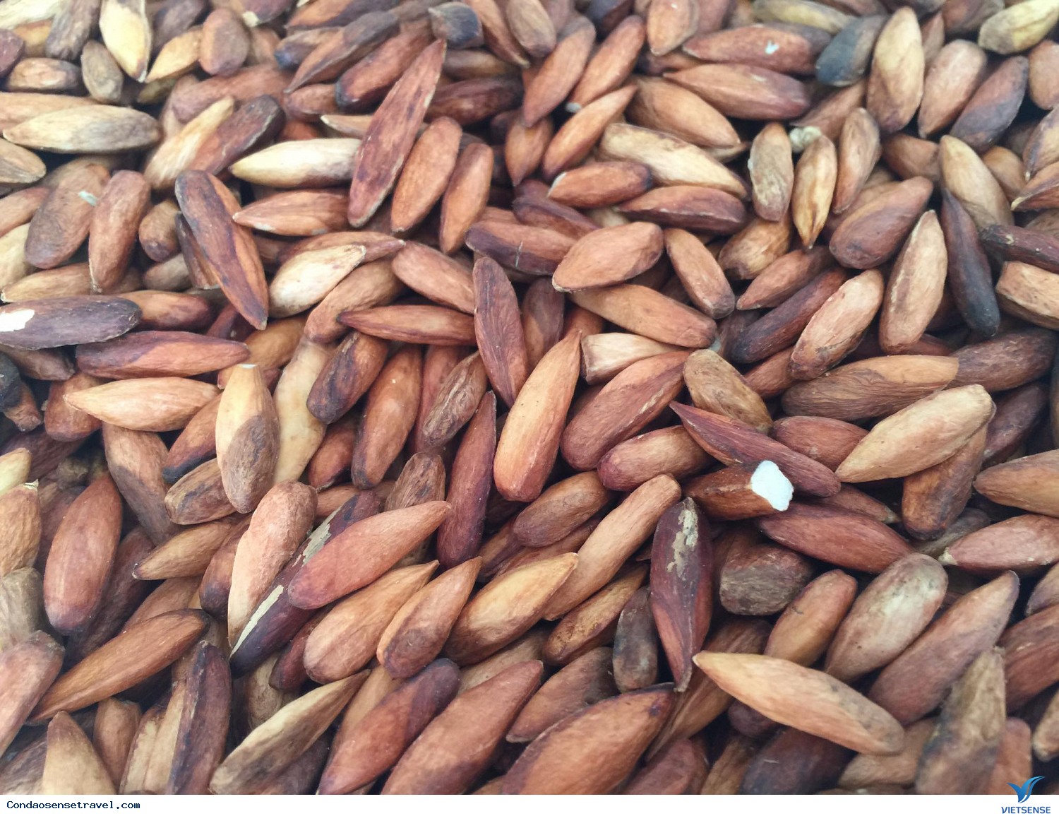 Mứt hạt bàng Mứt hạt bàng