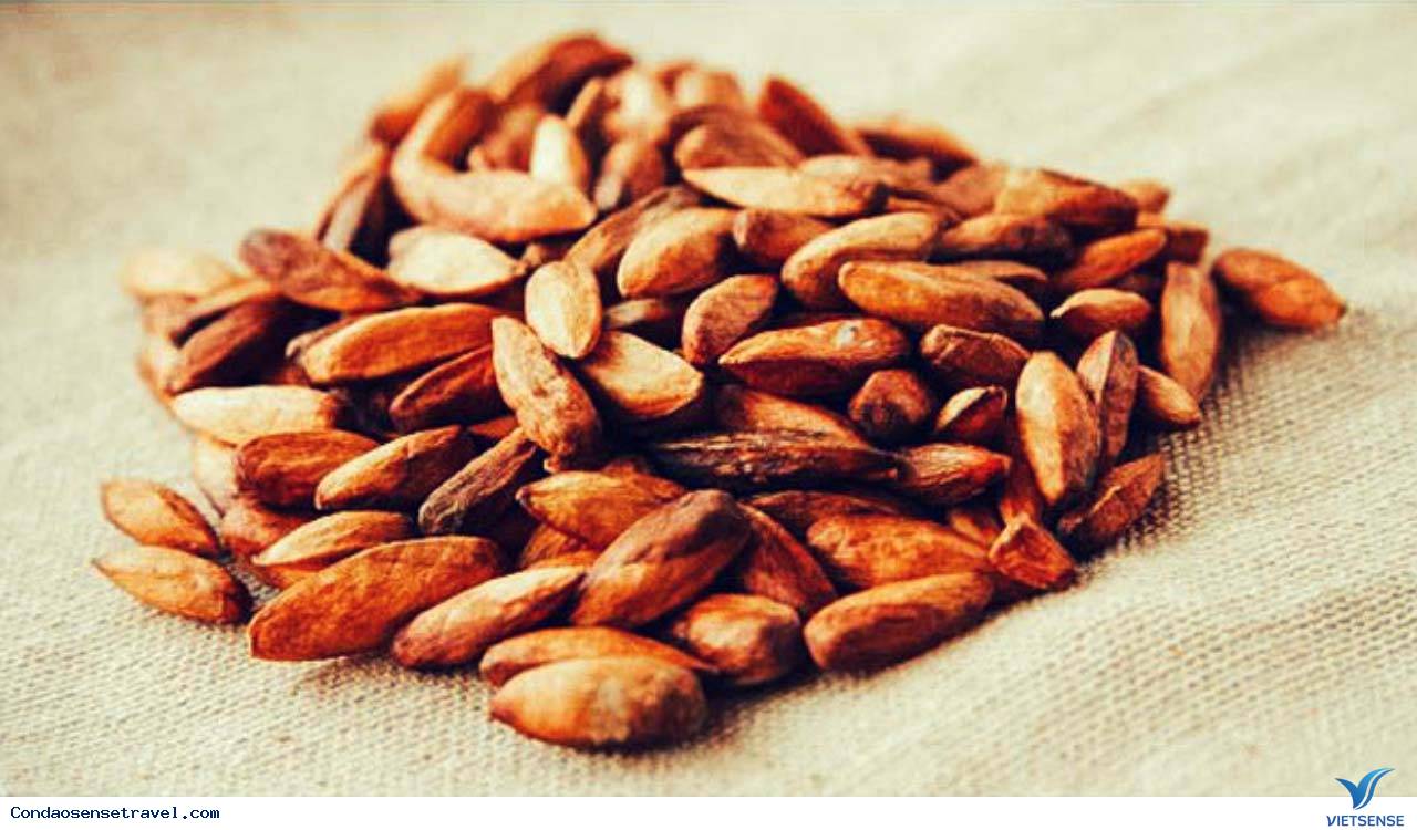 Mứt hạt bàng Mứt hạt bàng