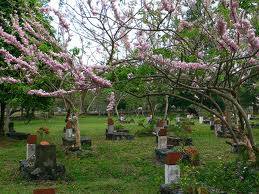 Nghĩa Trang Hàng Dương