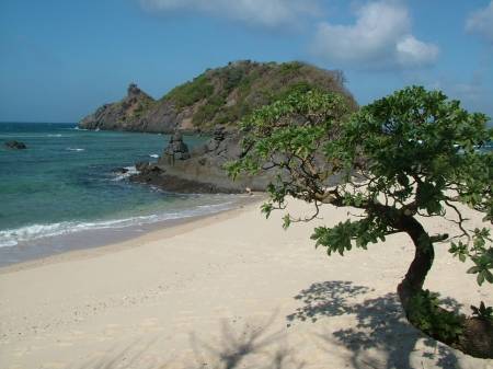 Những Điểm Tham Quan Hấp Dẫn Tại Côn Đảo - Ảnh 3