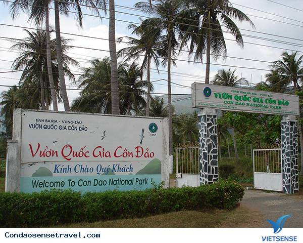 Những Điểm Tham Quan Hấp Dẫn Tại Côn Đảo - Ảnh 8