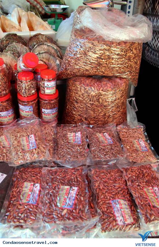 Những gốc bàng cổ thụ cứu người tù Côn Đảo - Ảnh 10 Những gốc bàng cổ thụ cứu người tù Côn Đảo - Ảnh 10