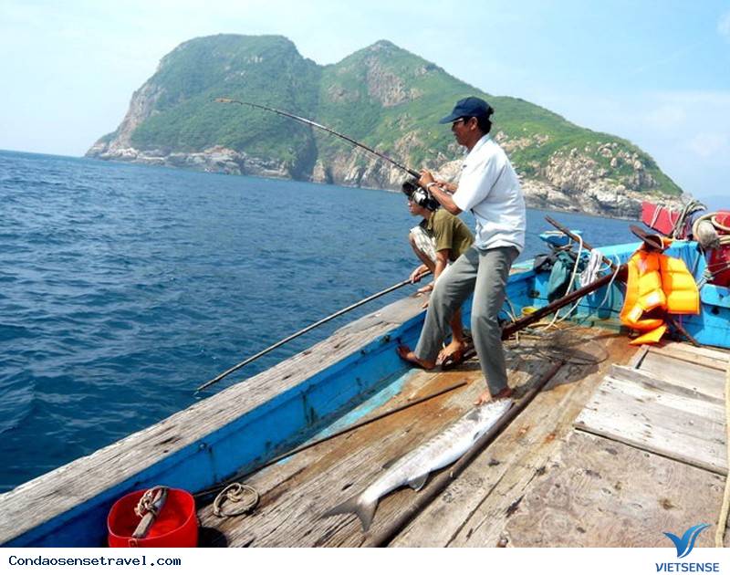 Câu cá biển Đông Câu cá biển Đông