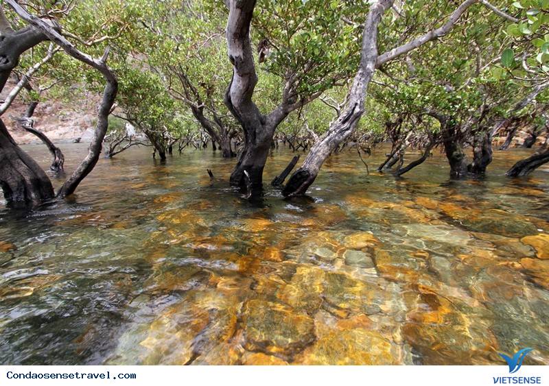 Tham quan Vườn Quốc gia Côn Đảo Tham quan Vườn Quốc gia Côn Đảo