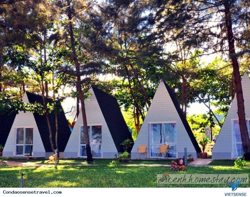 Ở đâu? - Ảnh 4 Ở đâu? - Ảnh 4