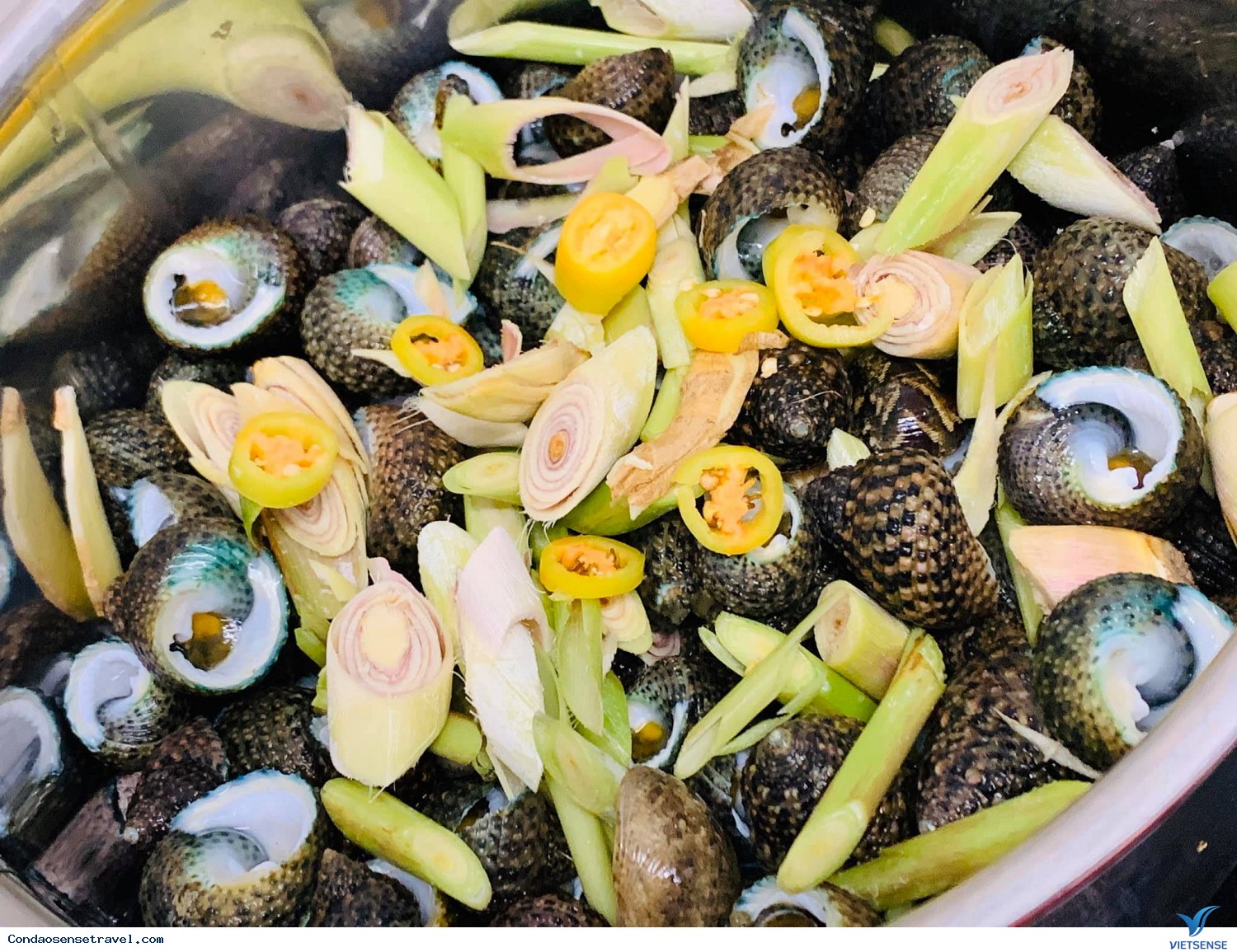 Ốc ngọt Côn Đảo