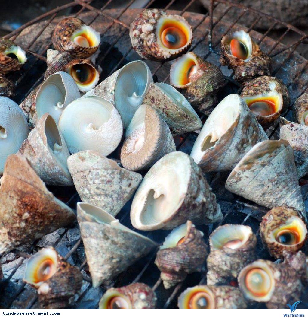 Ốc vú nàng Ốc vú nàng