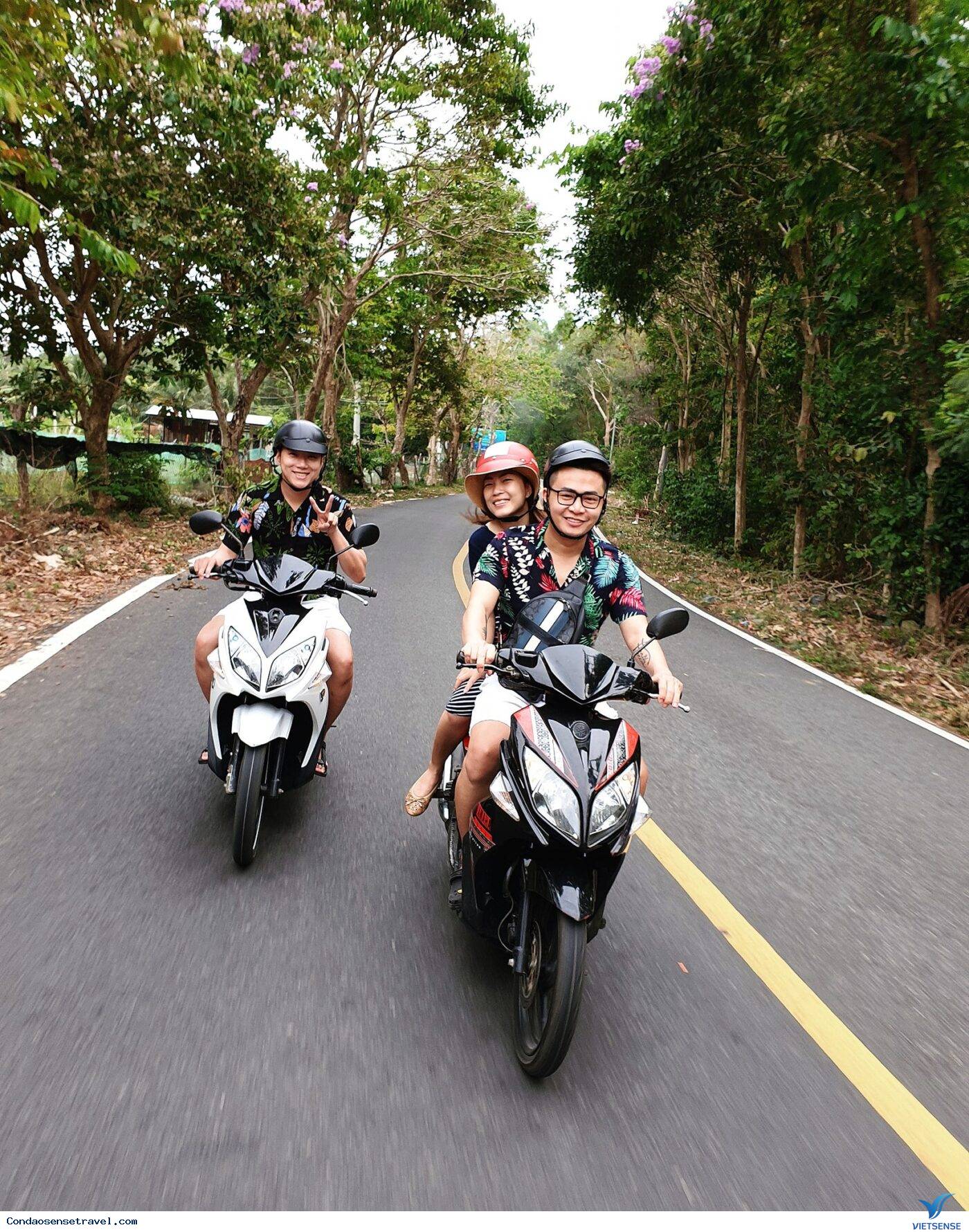 Phương tiện di chuyển - Ảnh 1