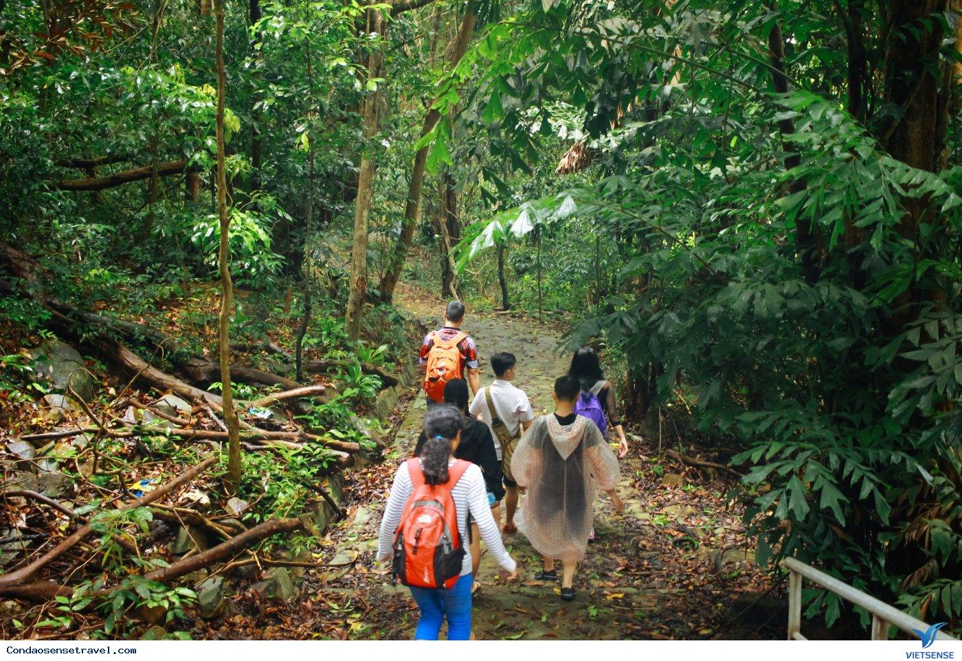 Rừng nguyên sinh Ông Đụng Rừng nguyên sinh Ông Đụng