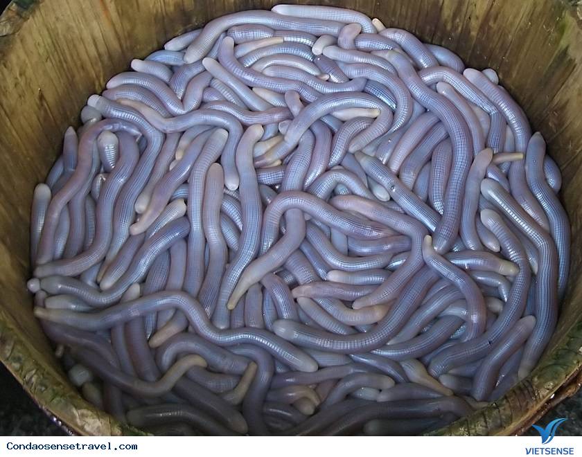 Sà súng - Ảnh 1 Sà súng - Ảnh 1