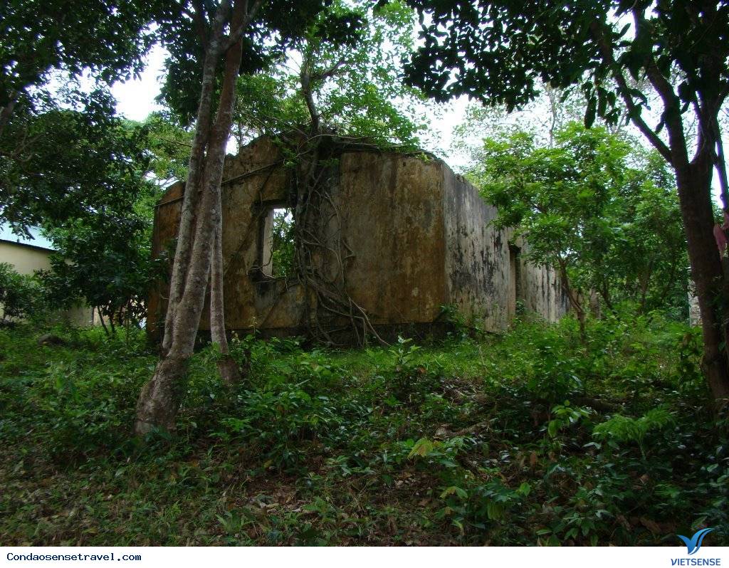Sở Rẫy Sở Rẫy