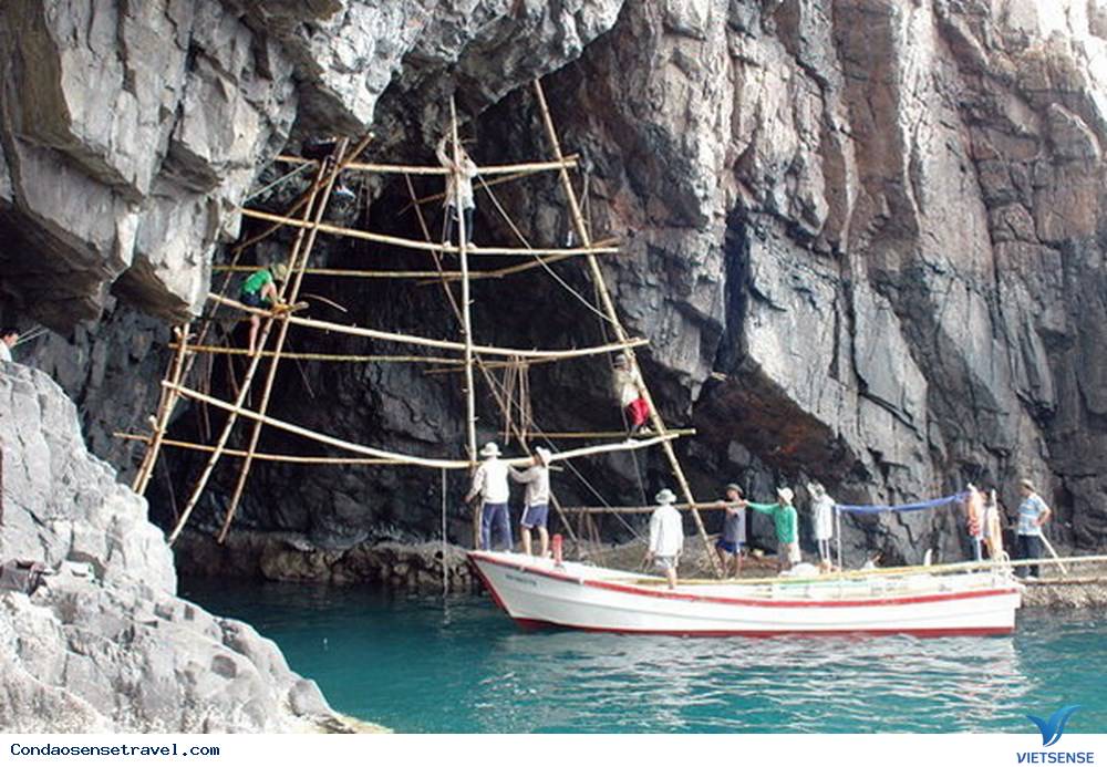 Tại sao phải mở hầu bao mua yến Côn Đảo ngay lập tức? - Ảnh 3 Tại sao phải mở hầu bao mua yến Côn Đảo ngay lập tức? - Ảnh 3