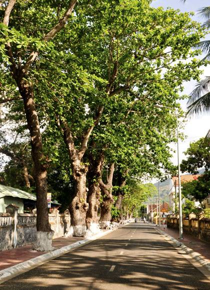 Tháng 3 Về Thăm Côn Đảo - Ảnh 2 Tháng 3 Về Thăm Côn Đảo - Ảnh 2