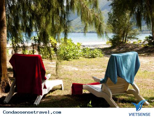 Tháng 3 Về Thăm Côn Đảo - Ảnh 3 Tháng 3 Về Thăm Côn Đảo - Ảnh 3