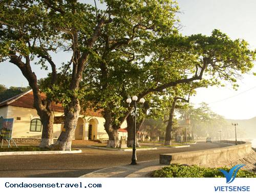 Tháng 3 Về Thăm Côn Đảo - Ảnh 8 Tháng 3 Về Thăm Côn Đảo - Ảnh 8