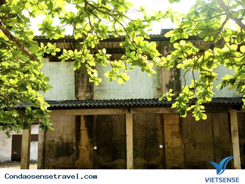 Tháng 3 Về Thăm Côn Đảo - Ảnh 7 Tháng 3 Về Thăm Côn Đảo - Ảnh 7